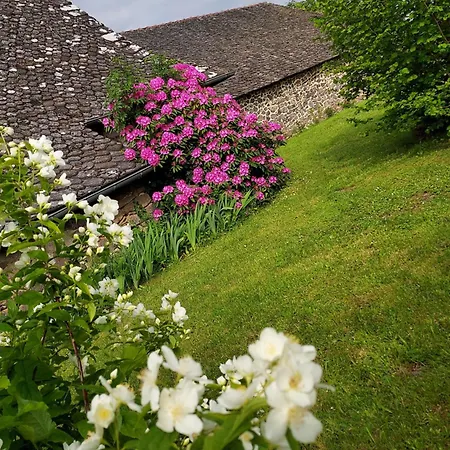 En Pleine Nature Cantalienne Et Au Calme Village , Maison Confortable Et Spacieuse Pour 9 Pers Vezels-Roussy