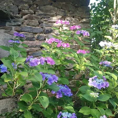 En Pleine Nature Cantalienne Et Au Calme Village , Maison Confortable Et Spacieuse Pour 9 Pers Vezels-Roussy